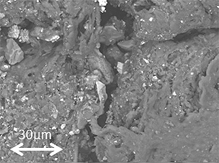 “看到”塑料變質(zhì)-塑料問(wèn)題就是變質(zhì)問(wèn)題