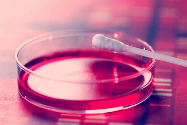 Q-Tips 是否可回收？