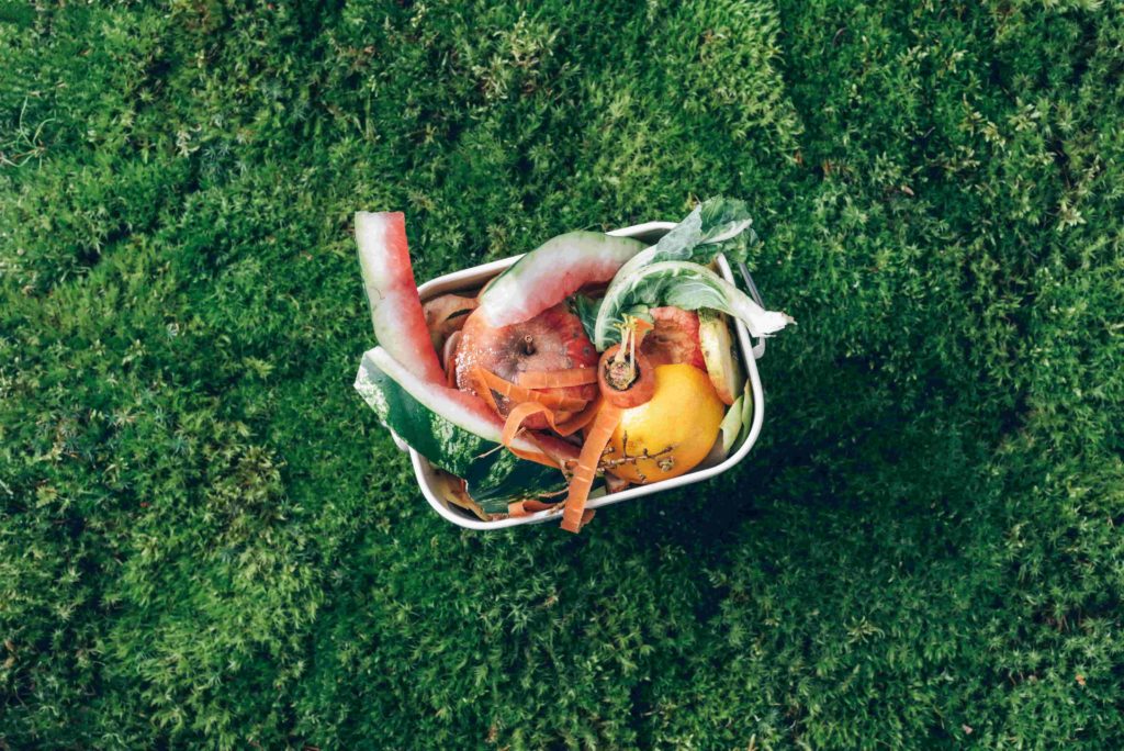 對(duì)食物浪費(fèi)說(shuō)不 對(duì)食物浪費(fèi)說(shuō)不